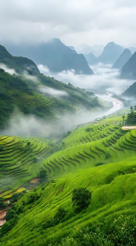 梯田云海山水画卷