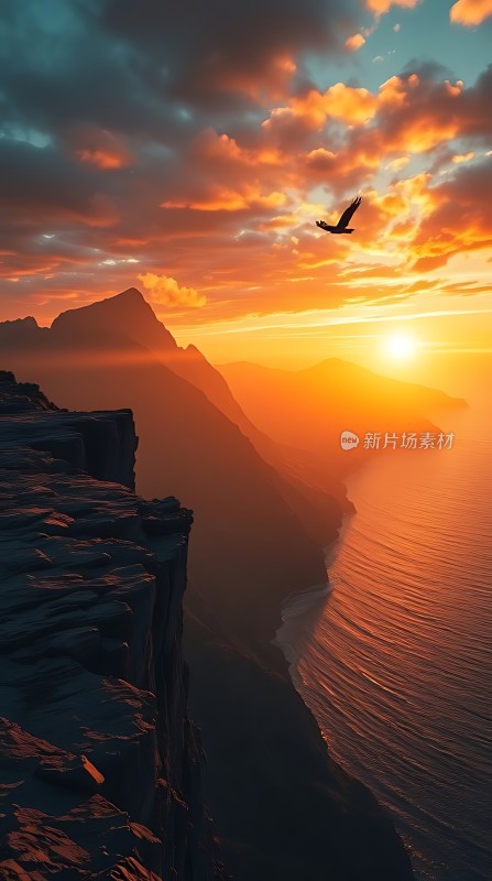 日落悬崖海鸥飞