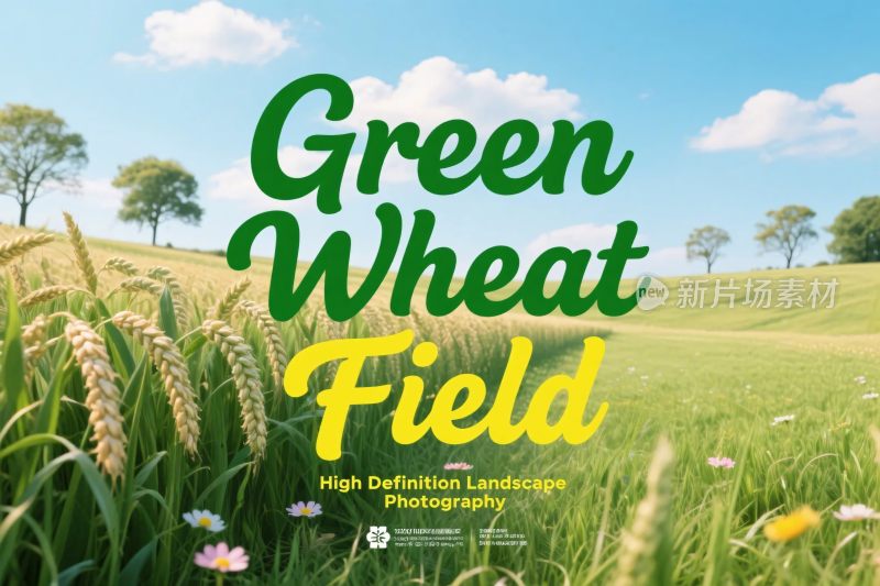 绿麦田风景插画