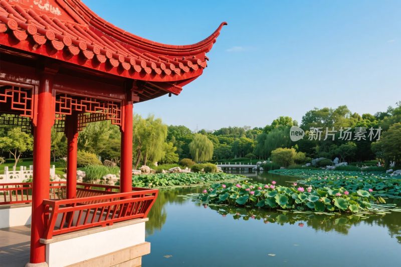 古亭荷塘风景图