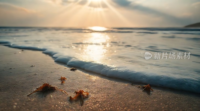 阳光下的海浪轻拍沙滩