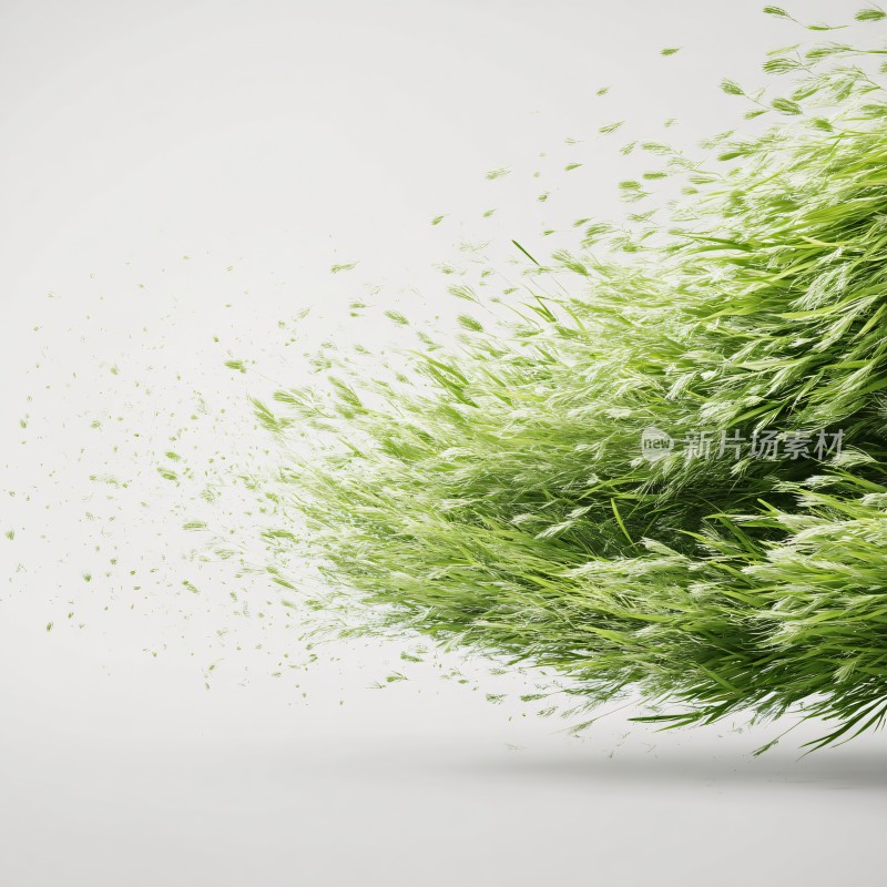 飞扬的绿色草束