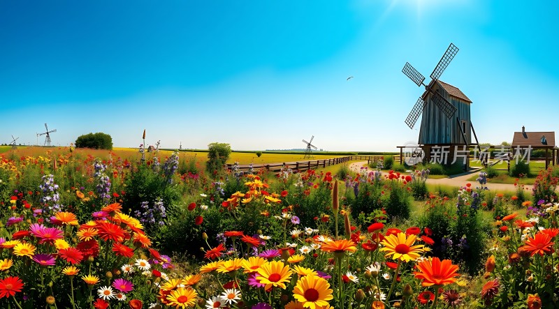 风车花海田园风光