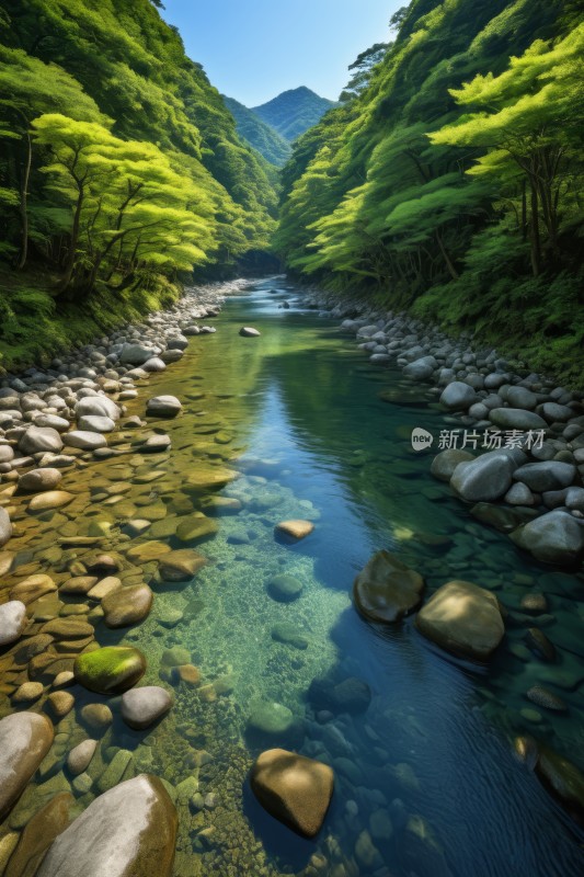 河流流经森林的高清风景图片