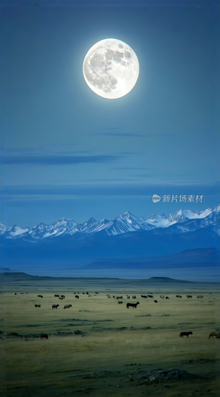 草原上的月光下的群山