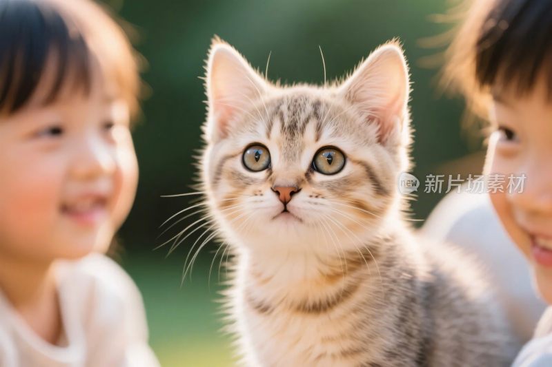 可爱小猫与小朋友