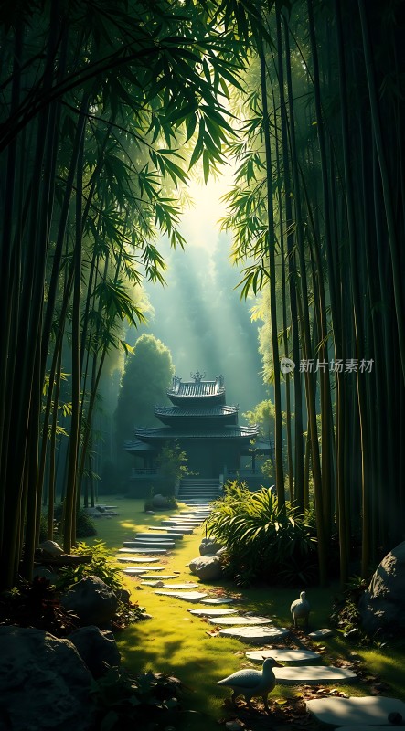 竹影斑驳下的禅意小径