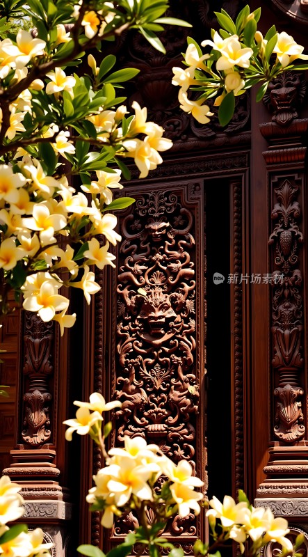 木门花影映春光