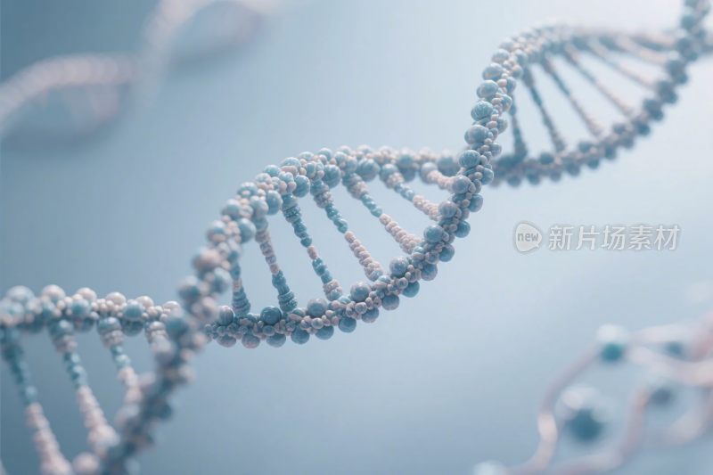 双螺旋结构示意图