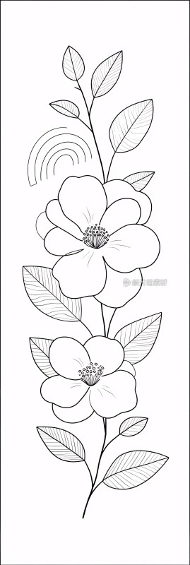 黑白线条花卉插画