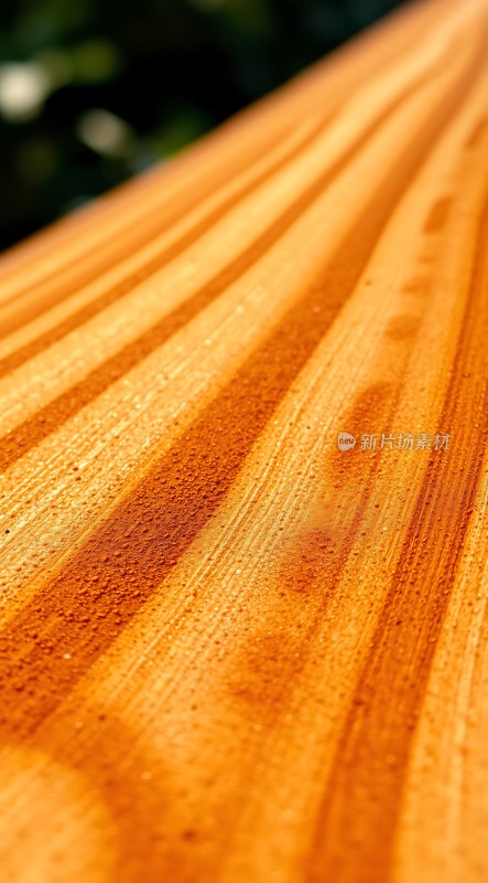 阳光下的木纹之美