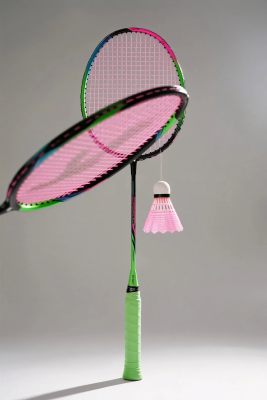 羽毛球拍与羽毛球展示