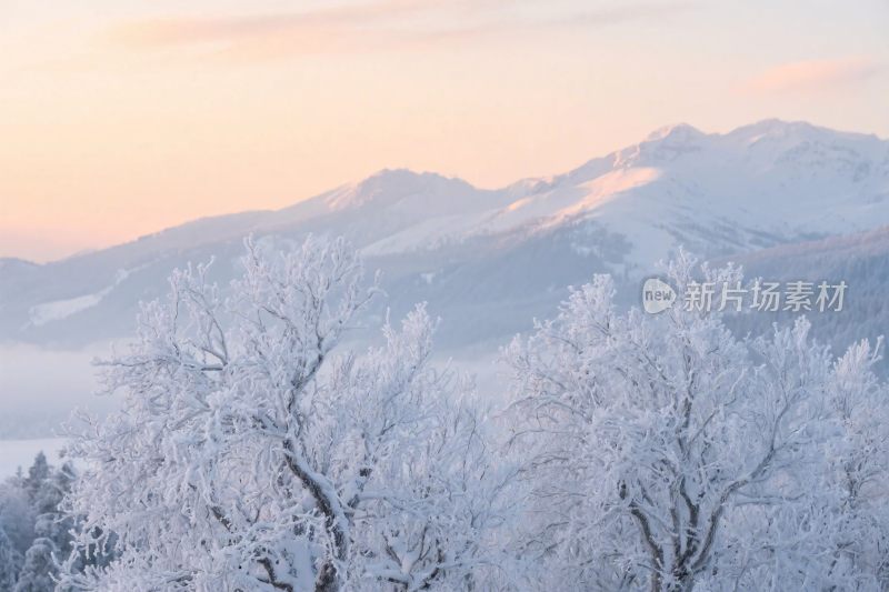 冬日雪山雪景图