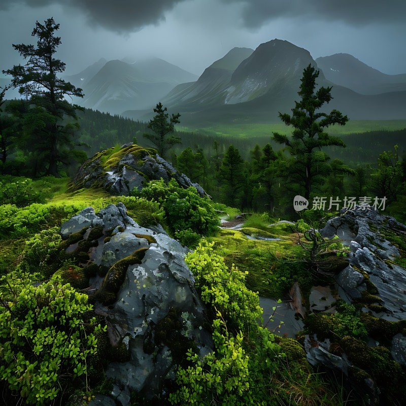 雨后山间绿意盎然