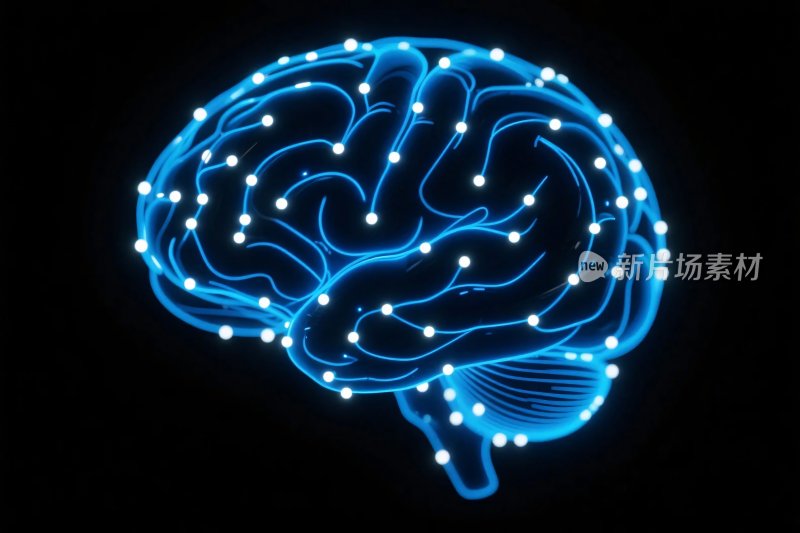 脑神经线路图