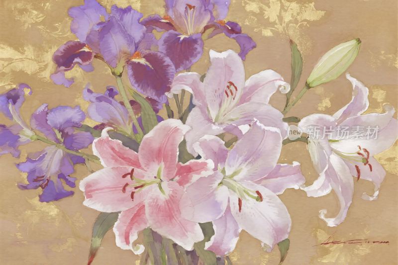 百合花插画作品