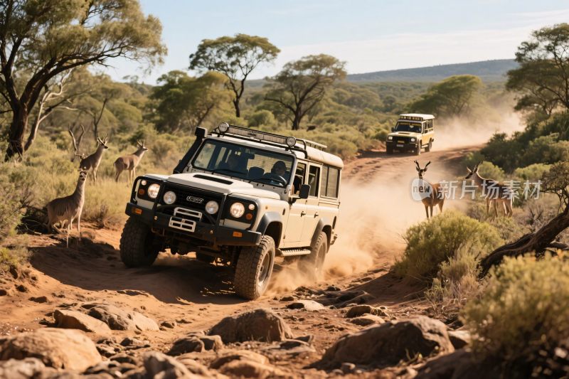 越野车辆行驶在野外之路