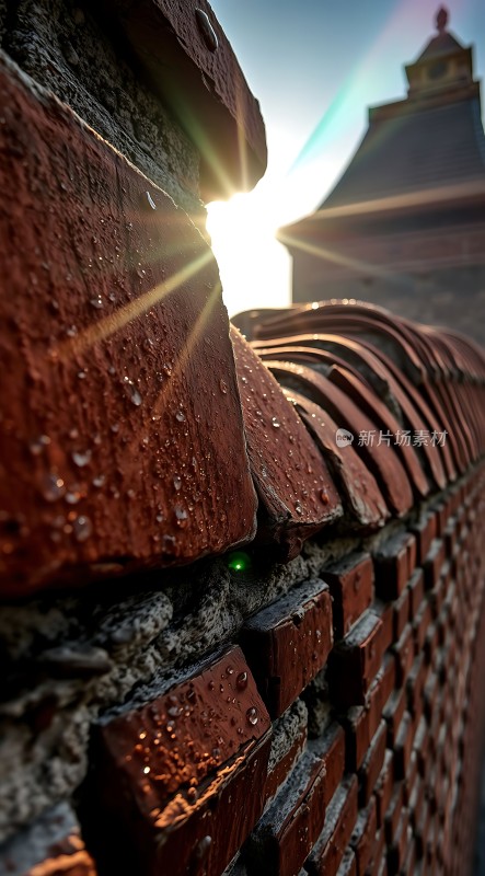 阳光下的红砖墙