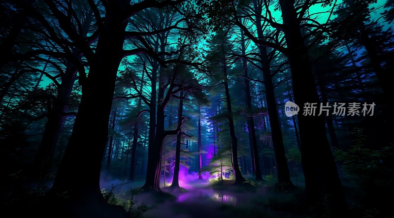 神秘森林之夜