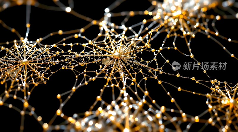 金色神经元网络