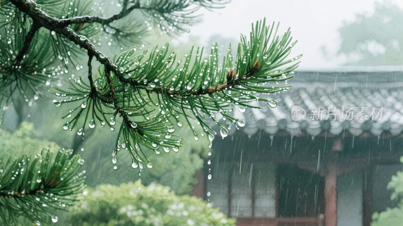 雨中松枝与古建筑景象