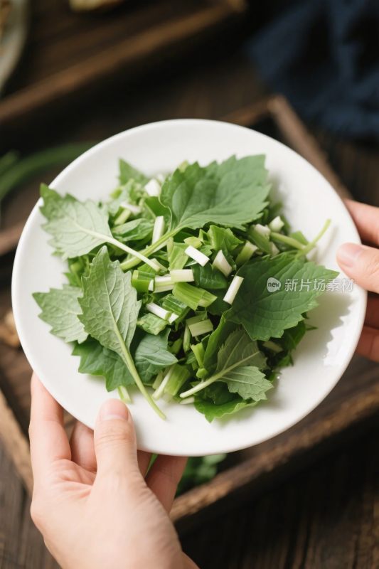 手持蔬菜沙拉盘