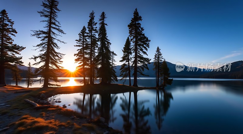 湖畔晨曦映翠树