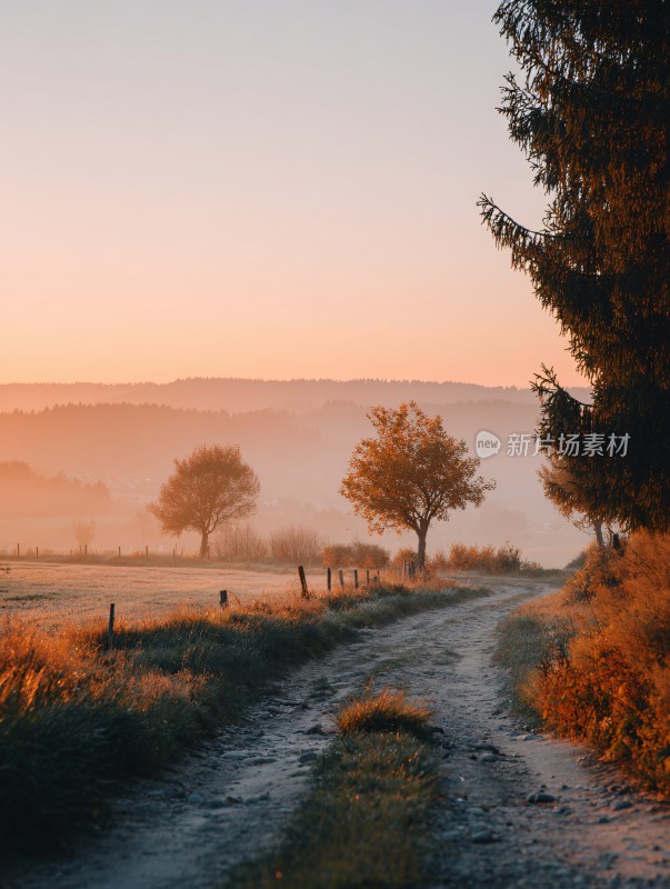 晨曦中的乡间小路