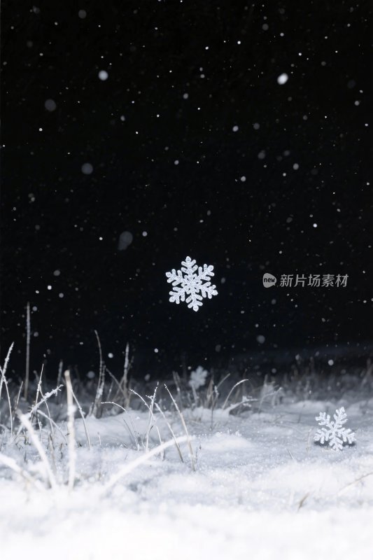 飘落雪花的冬日草地景象
