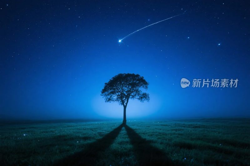 星空下的孤树与流星