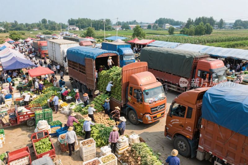集市货车商贩交易场景