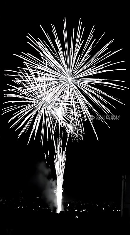 夜空烟花绽放