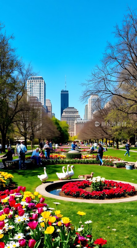 春日公园美景城市绿洲中的色彩盛宴