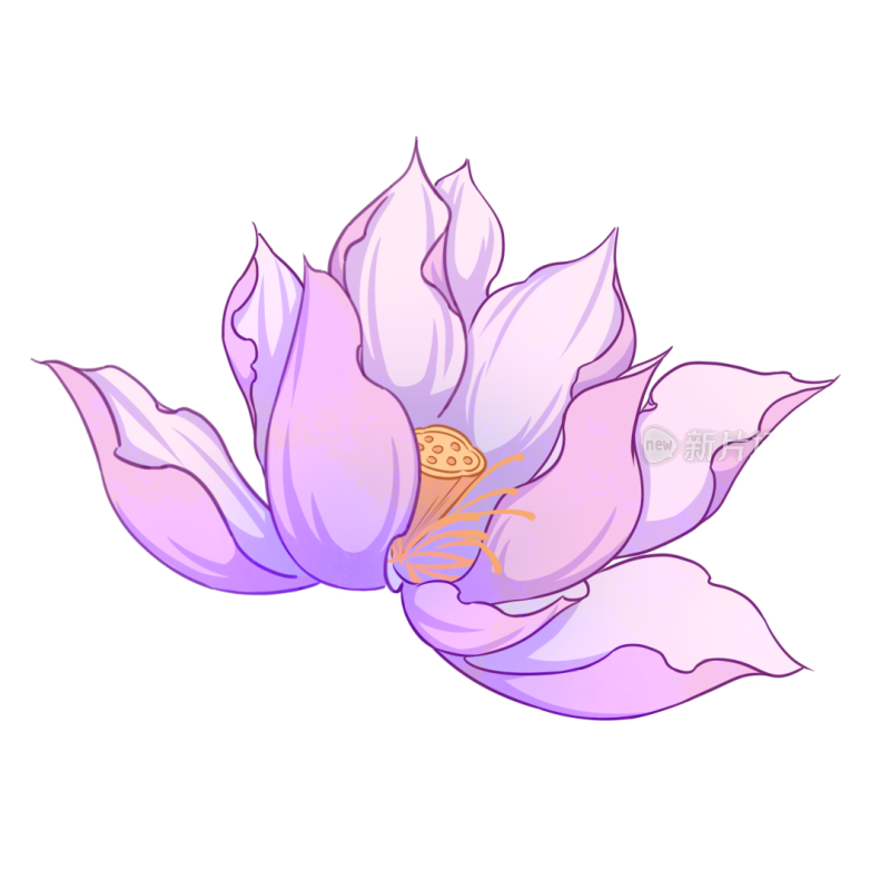 单株荷花国风免扣素材