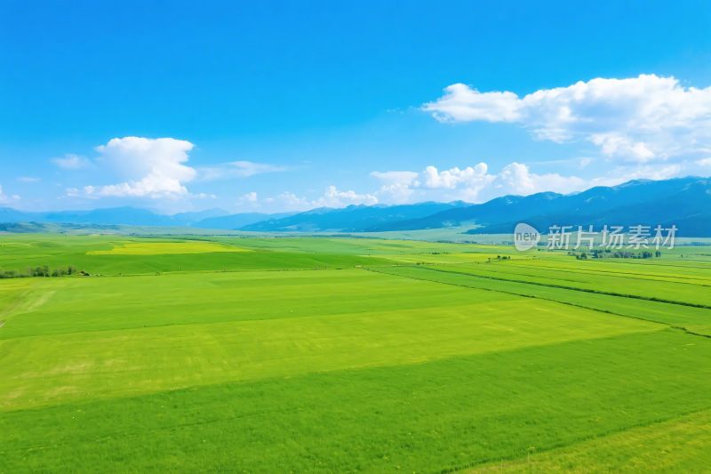 广阔草原风景图