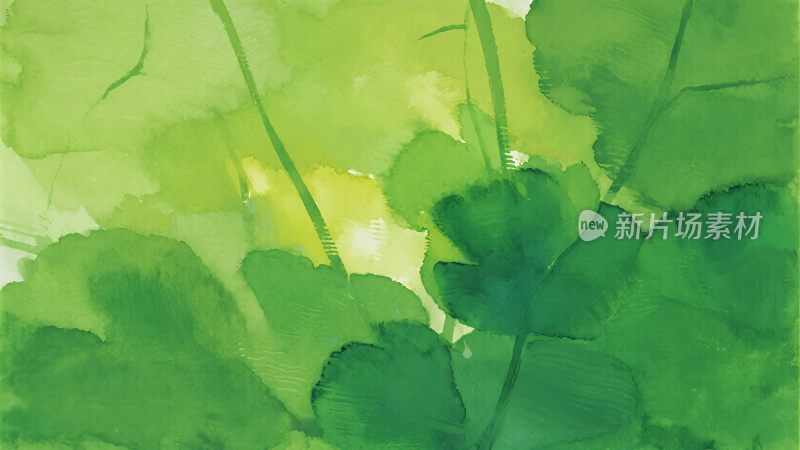 绿色水彩风格叶片画面