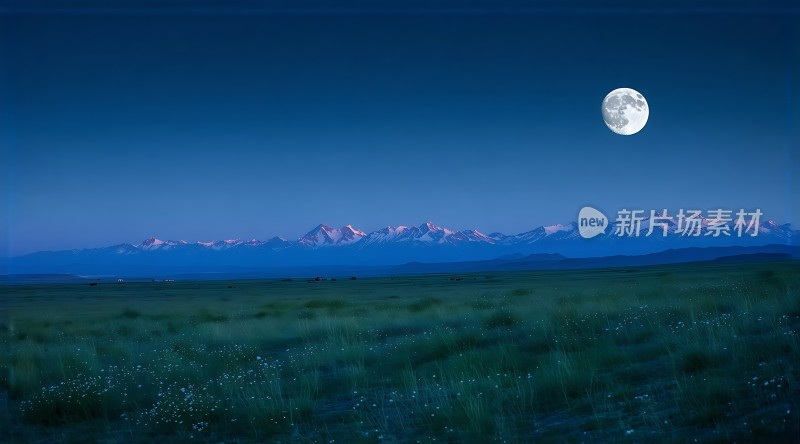 草原夜月