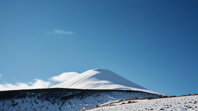 一座白雪皑皑山上面有几棵树高清图片