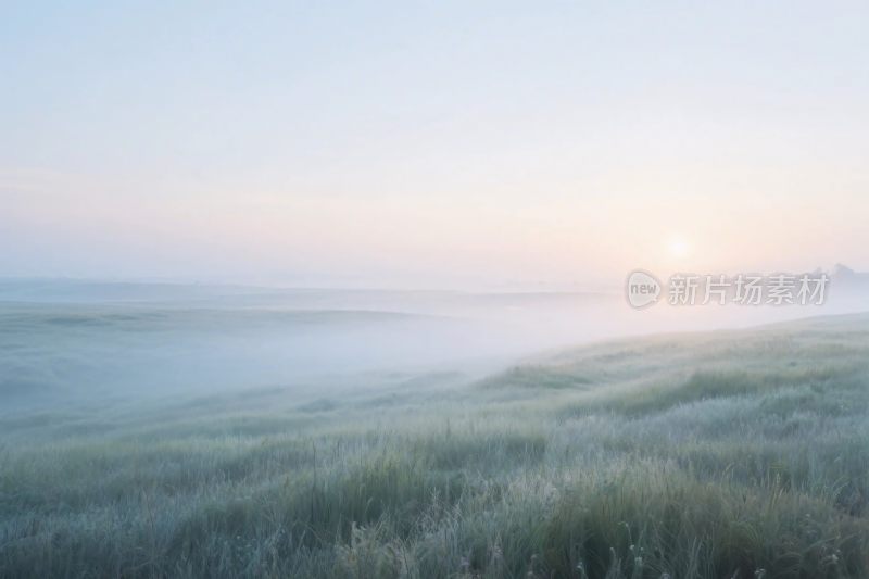 朦胧草原风景图