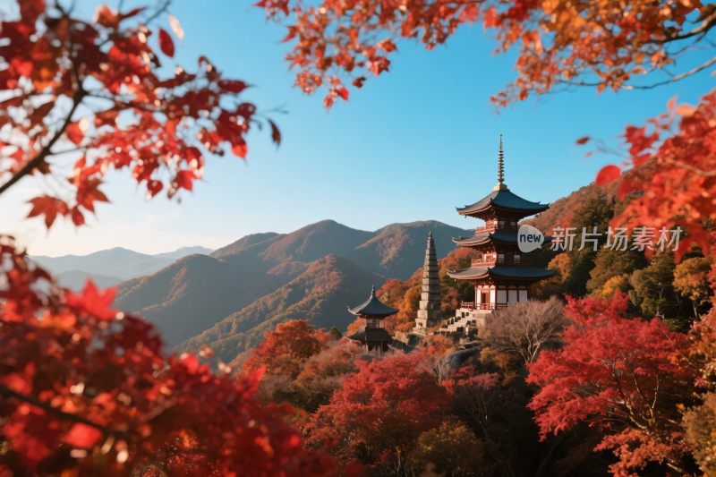 秋日山间古寺红叶美景