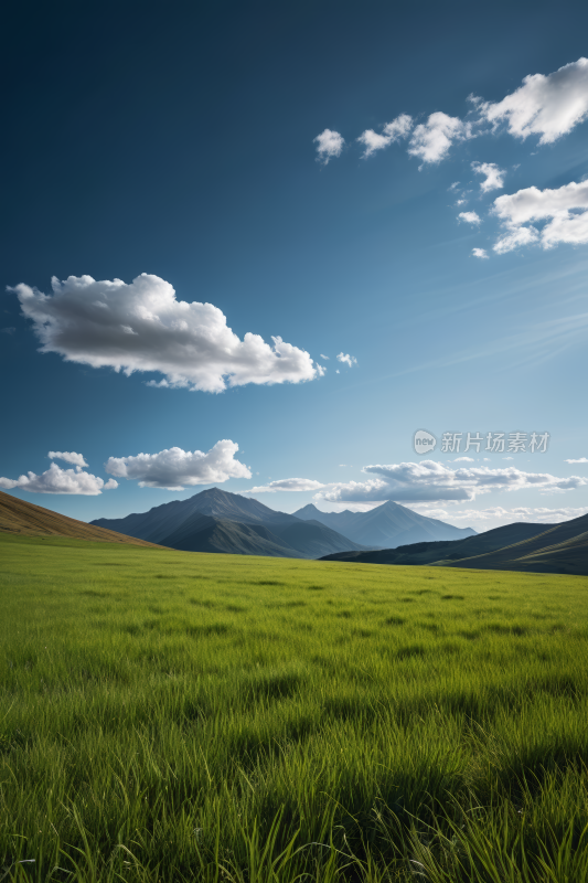 一片草地高高山清风景图片