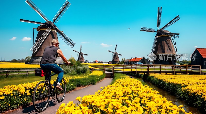 风车花海骑行之旅
