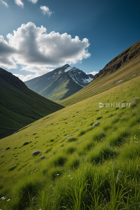 一片草地一座高山清风景摄影图片