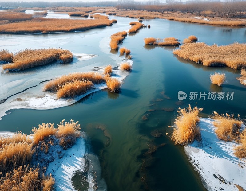 沙河湿地冬日景