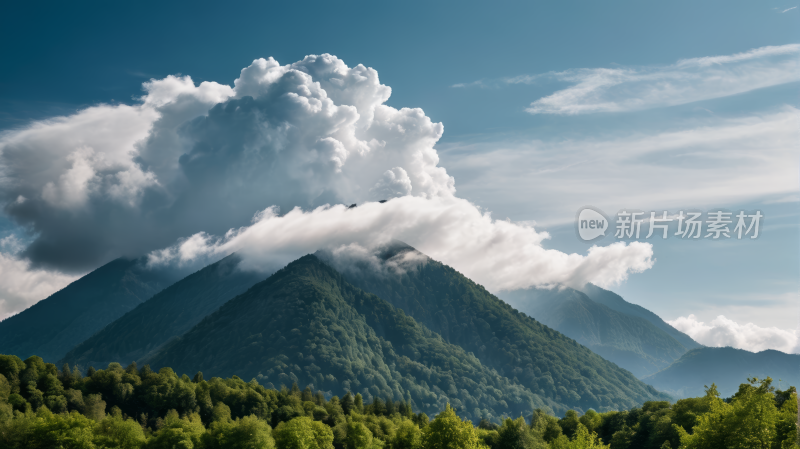 一座山有几棵树高清风景图片