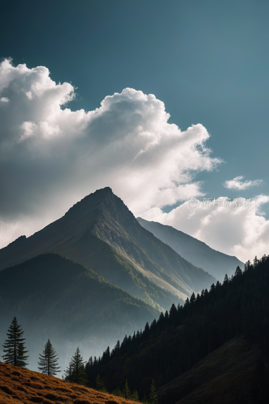 一座山有几棵树高清风景摄影图片