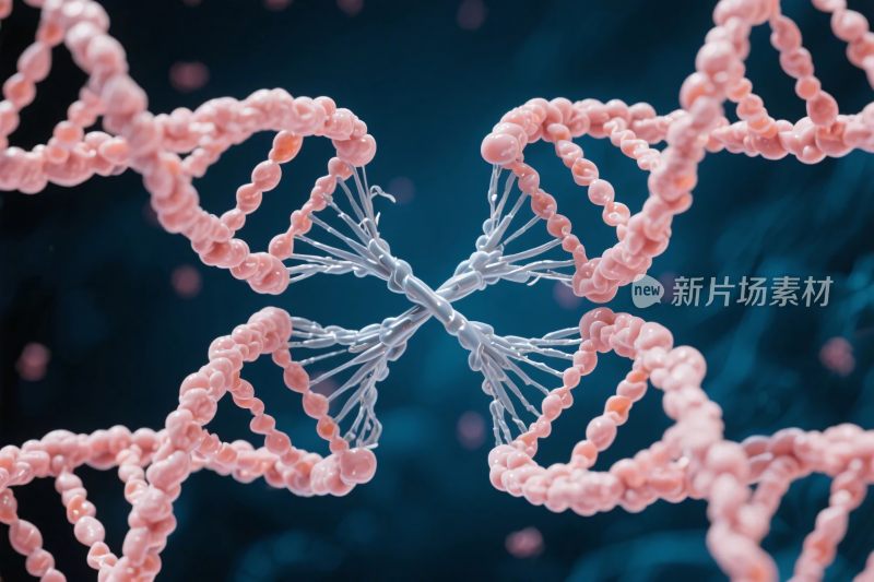 双螺旋结构表现