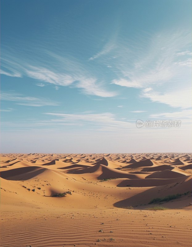 腾格里沙漠奇观