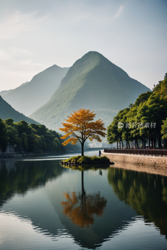 湖中央长树高清风景图片