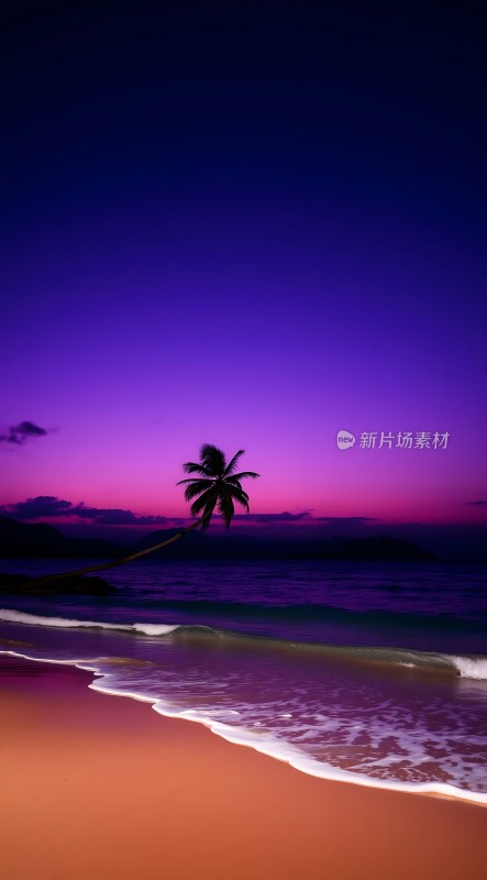 椰林晚霞映碧波